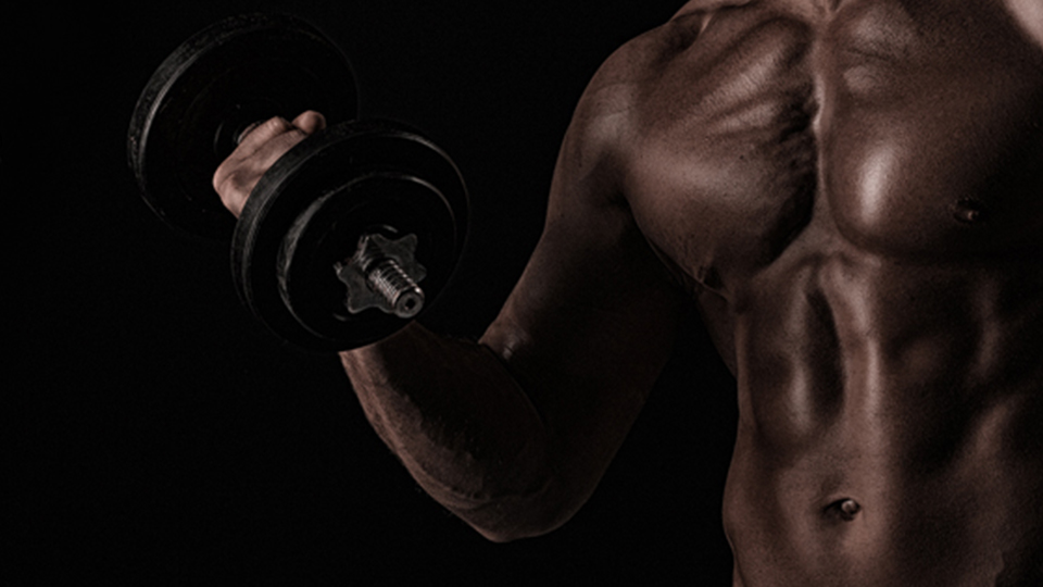 Bygga muskler och gå ner i vikt|||muskeltillväxt|muskeltillväxt kost|muskeltillväxt genetik|Muskeltillväxt