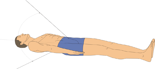 anatomisk rörelselängd