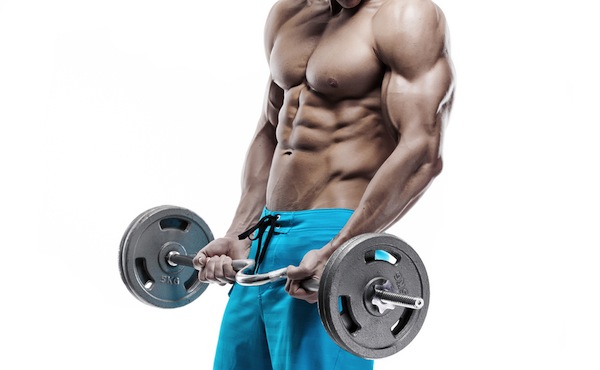 muskelfibrer styrketräning
